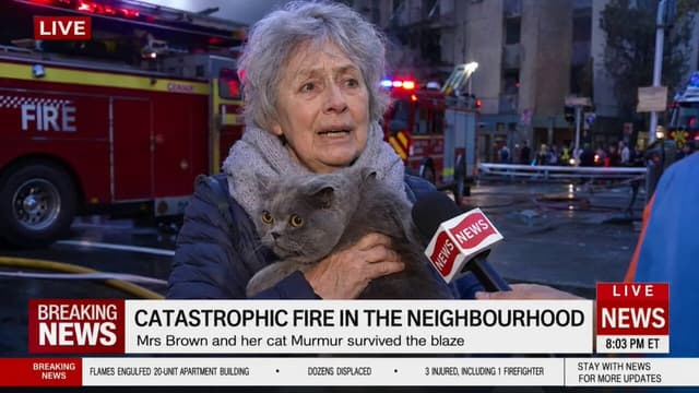 Kling Prompt - Style: Hyper-realistic live TV news broadcast, authentic bre