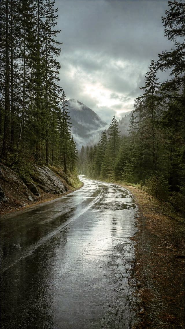 Midjourney Prompt - Scene prompt:
A lone, bare-branched oak tree stands as the s