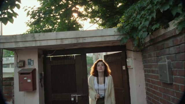 Seedance Prompt - A young Korean woman (22), naturally beautiful with realisti