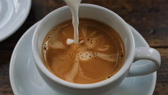 Gemini Omni Prompt - Milk + crema + Gemini Omni = living latte art.
Chasing cat