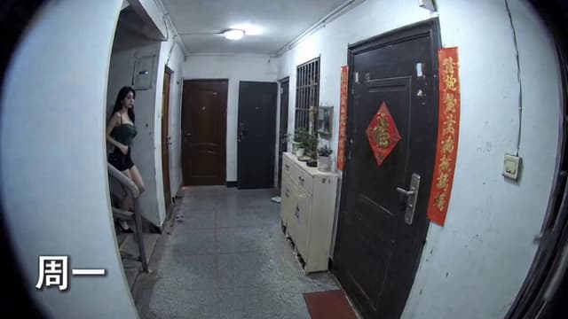 Seedance Prompt - 主体:「参考图」。同一位长黑发设计师妹子,连续三天下班回家,每天换一套时髦衣服,自然回家状态,不看监控镜头。 场景:「参