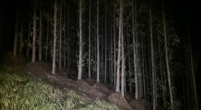 Veo Prompt - an amateur night time forest scene with harsh lighting, slig