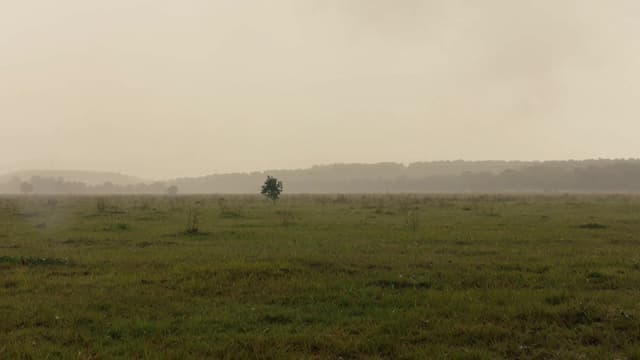 MiniMax Prompt - A cinematic wide shot of four young women running barefoot a